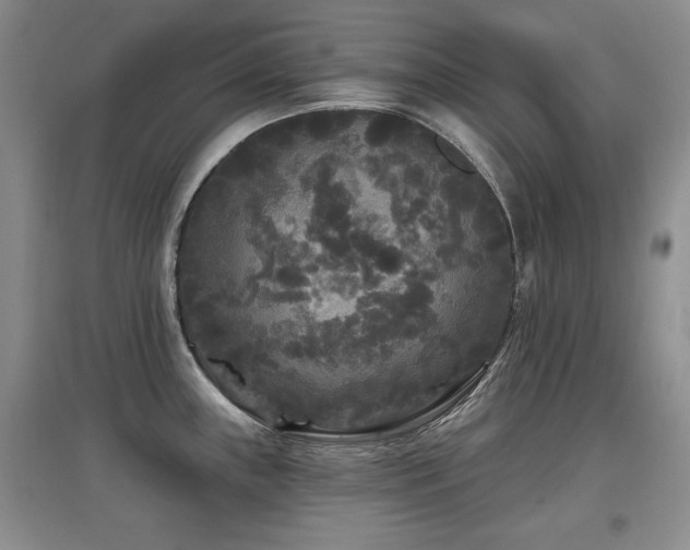 X0000097871243200803141251