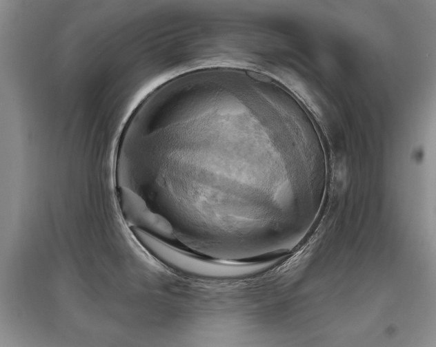 X0000097871246200803141251