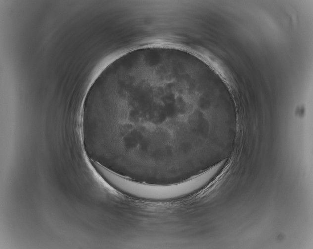 X0000097871247200803141251