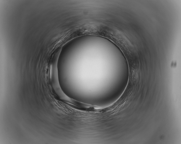 X0000097871250200803141250