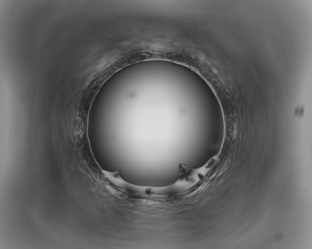X0000097871253200803141250