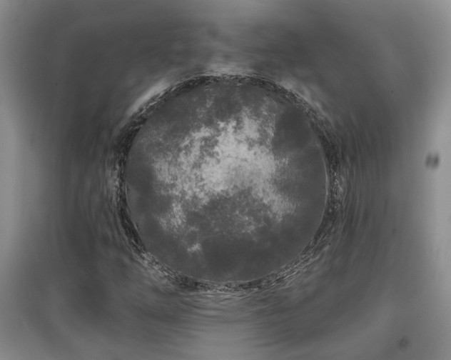 X0000097871254200803141250