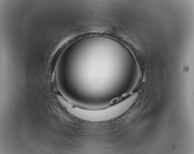 X0000097871256200803141250