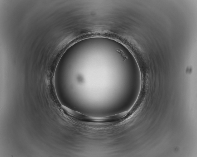 X0000097871257200803141250