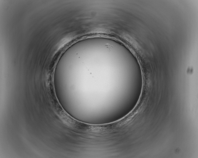 X0000097871258200803141250