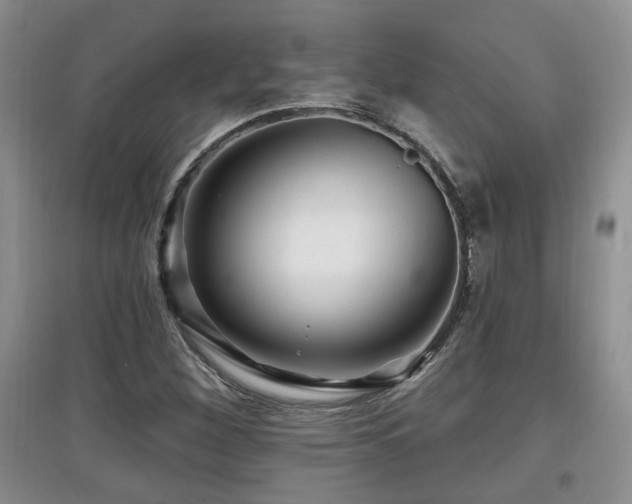 X0000097871260200803141250