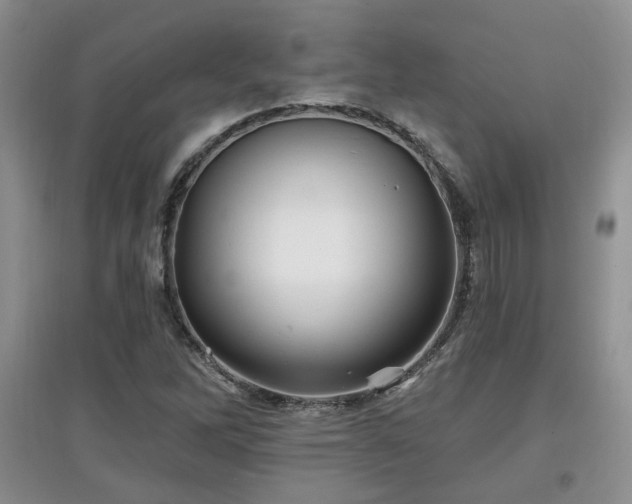 X0000097871262200803141250