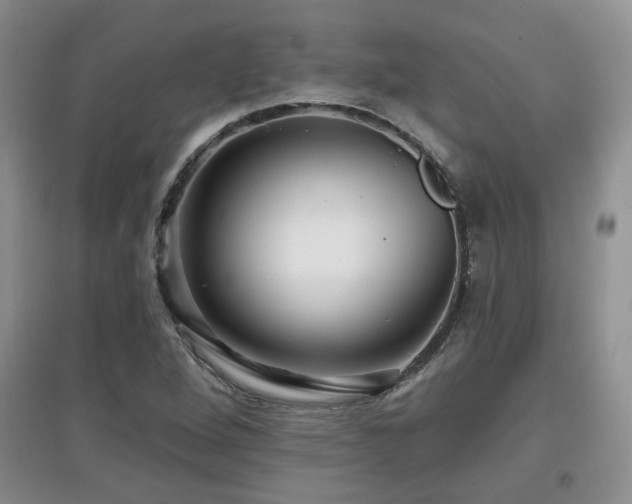 X0000097871264200803141250