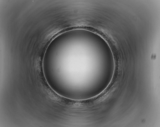 X0000097871265200803141250