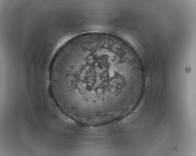 X0000097871267200803141250