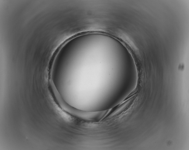 X0000097871268200803141250