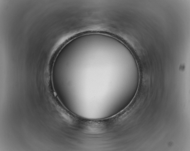 X0000097871270200803141250