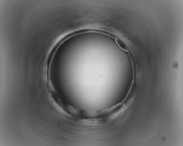 X0000097871272200803141250