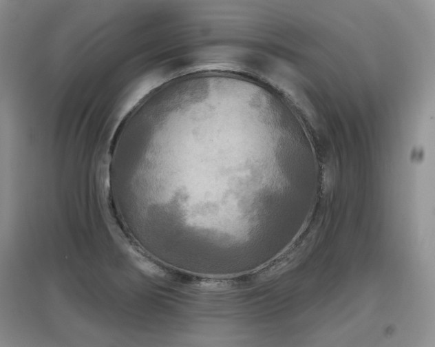 X0000097871274200803141250