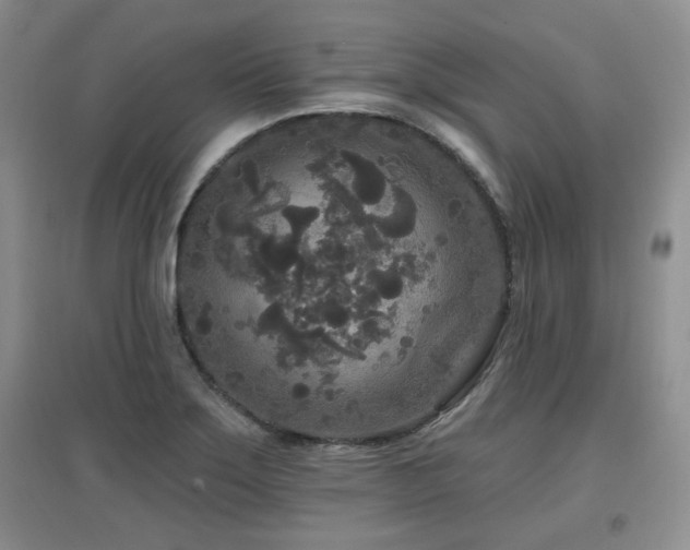 X0000097871275200803141250