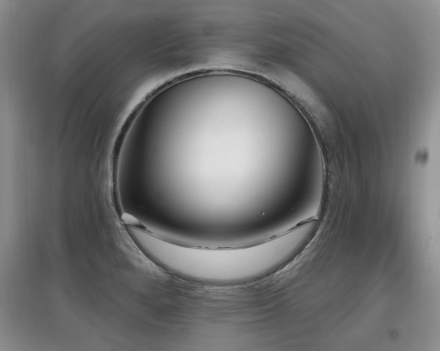 X0000097871280200803141250