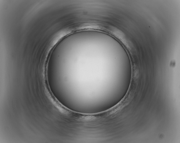 X0000097871282200803141250