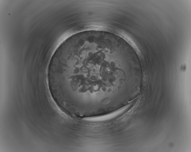 X0000097871283200803141250