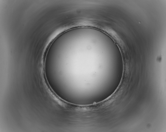 X0000097871286200803141250