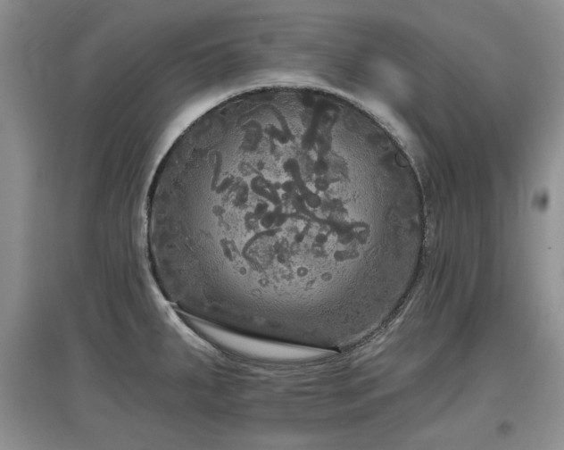 X0000097871287200803141250
