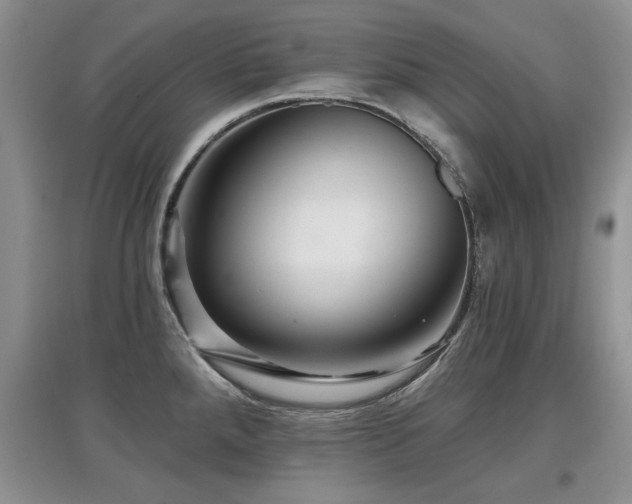 X0000097871288200803141250