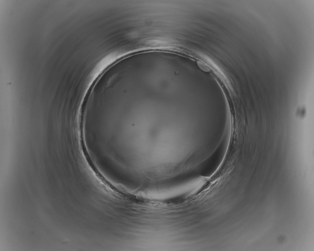 X0000097871291200803141250