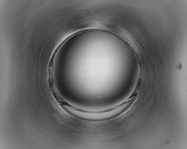X0000097871292200803141250