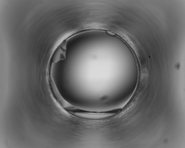 X0000097871293200803141250