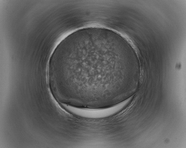 X0000097871295200803141250