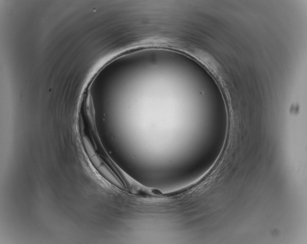 X0000097871296200803141250