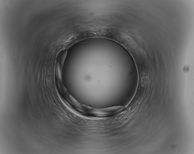 X0000097871298200803141249