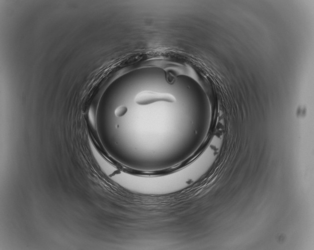 X0000097871299200803141249