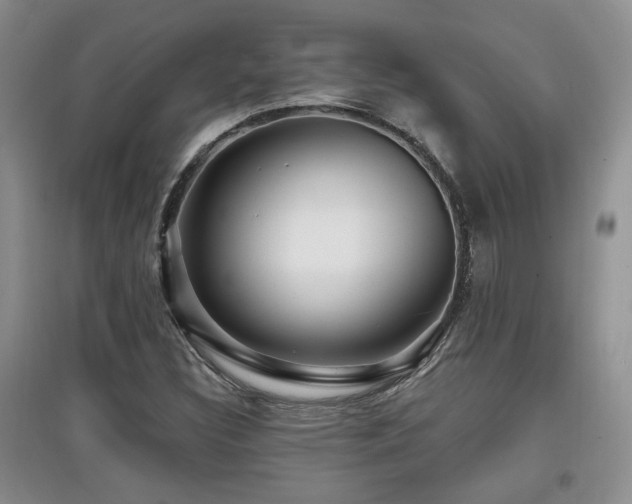 X0000097871308200803141249