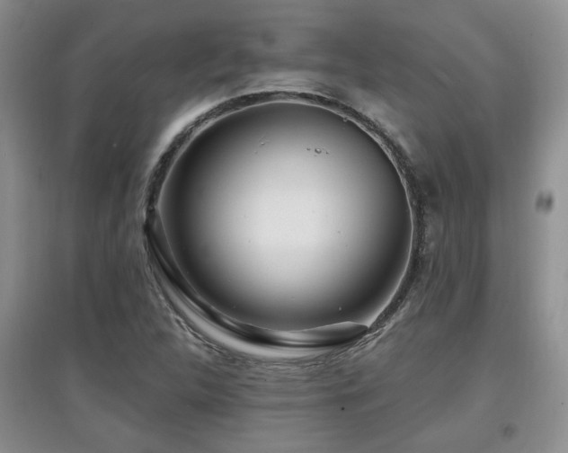 X0000097871312200803141249