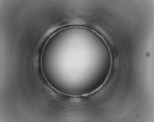 X0000097871315200803141249