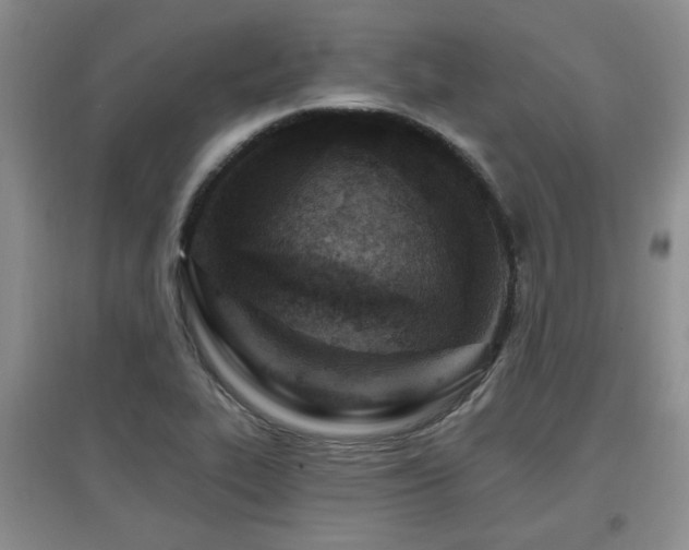 X0000097871319200803141249