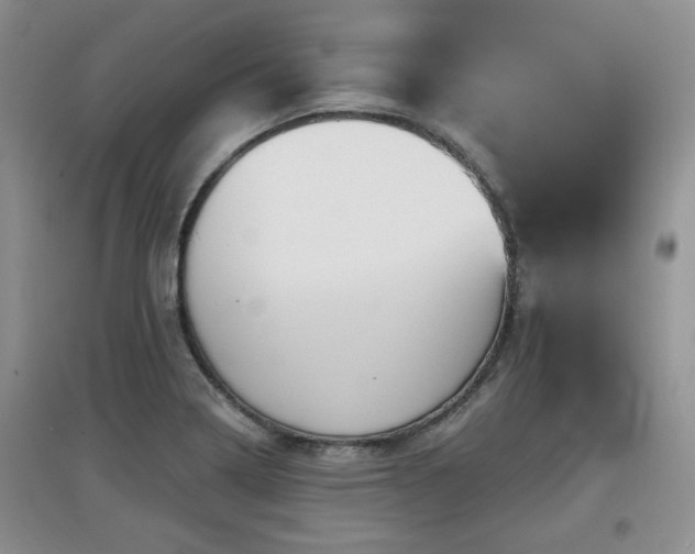 X0000097871322200803141249