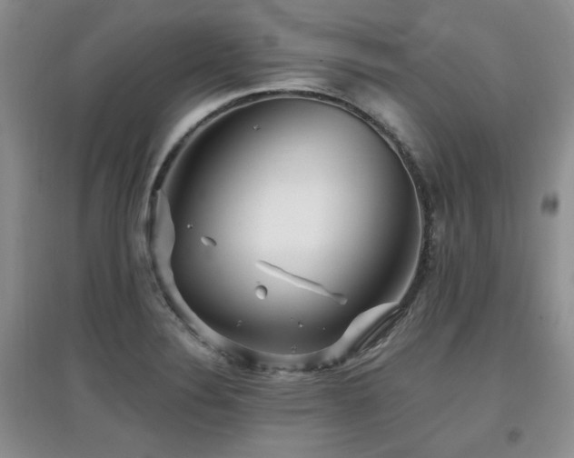 X0000097871324200803141249