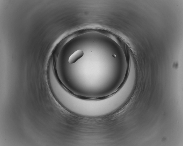 X0000097871326200803141249