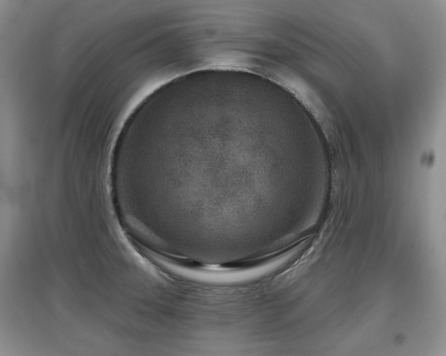 X0000097871331200803141250