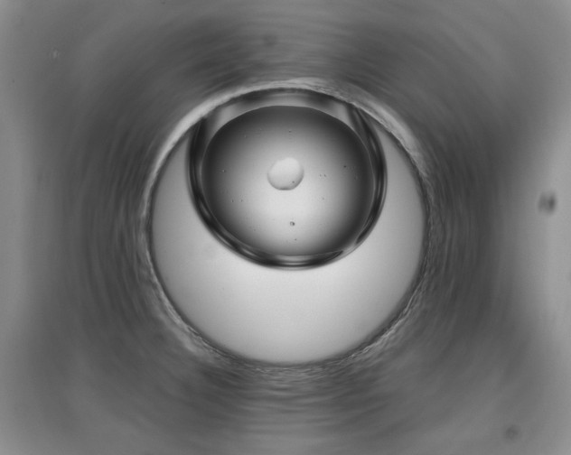 X0000097871332200803141250