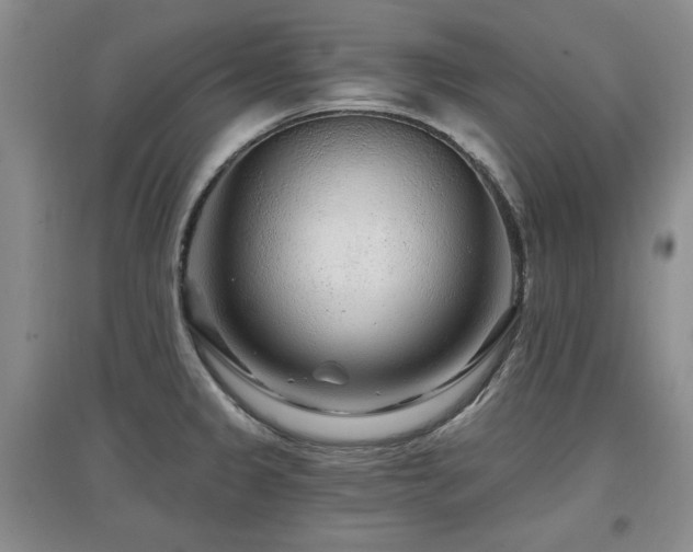 X0000097871333200803141250