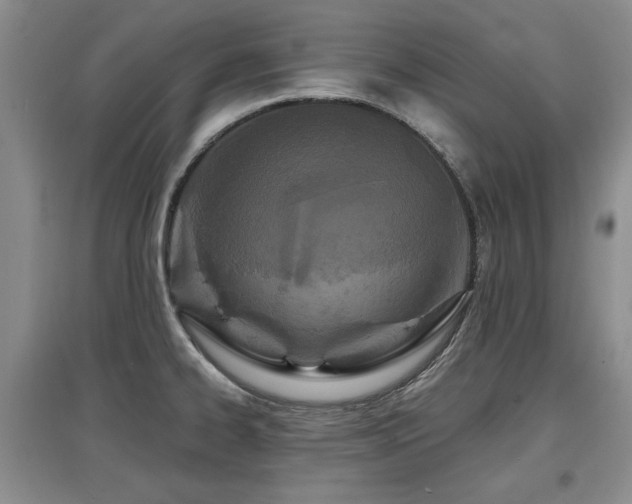 X0000097871334200803141250