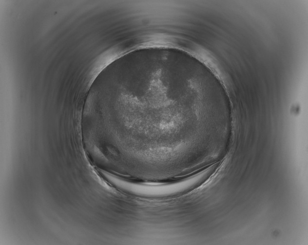 X0000097871337200803141250
