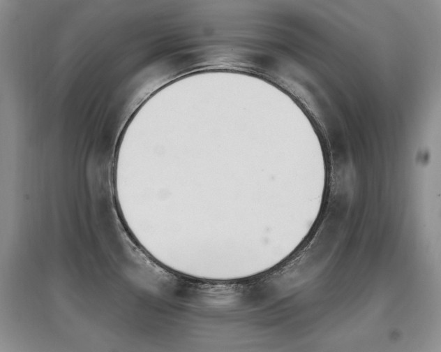 X0000097871338200803141250
