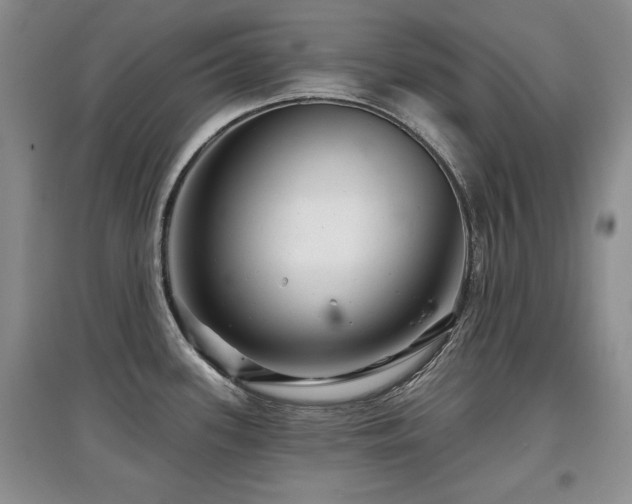 X0000097871339200803141250