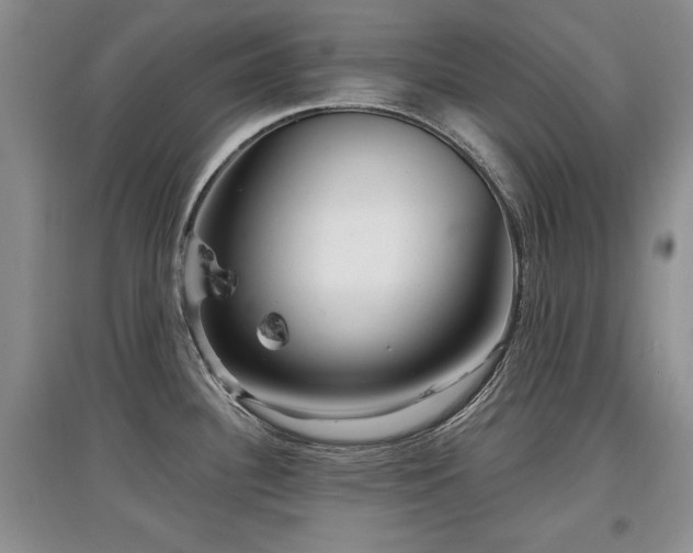 X0000097871340200803141250