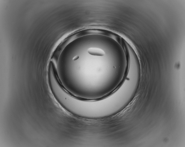 X0000097871341200803141250