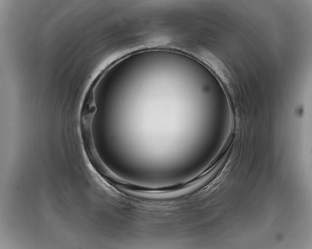 X0000097871342200803141250