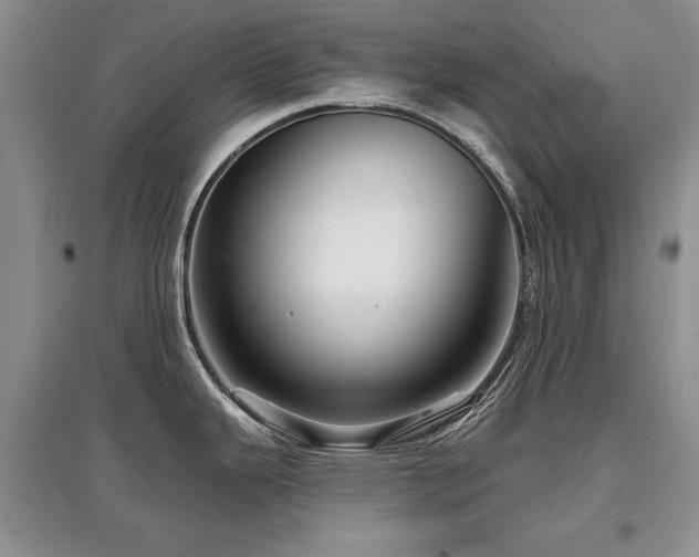 X0000097871343200803141250